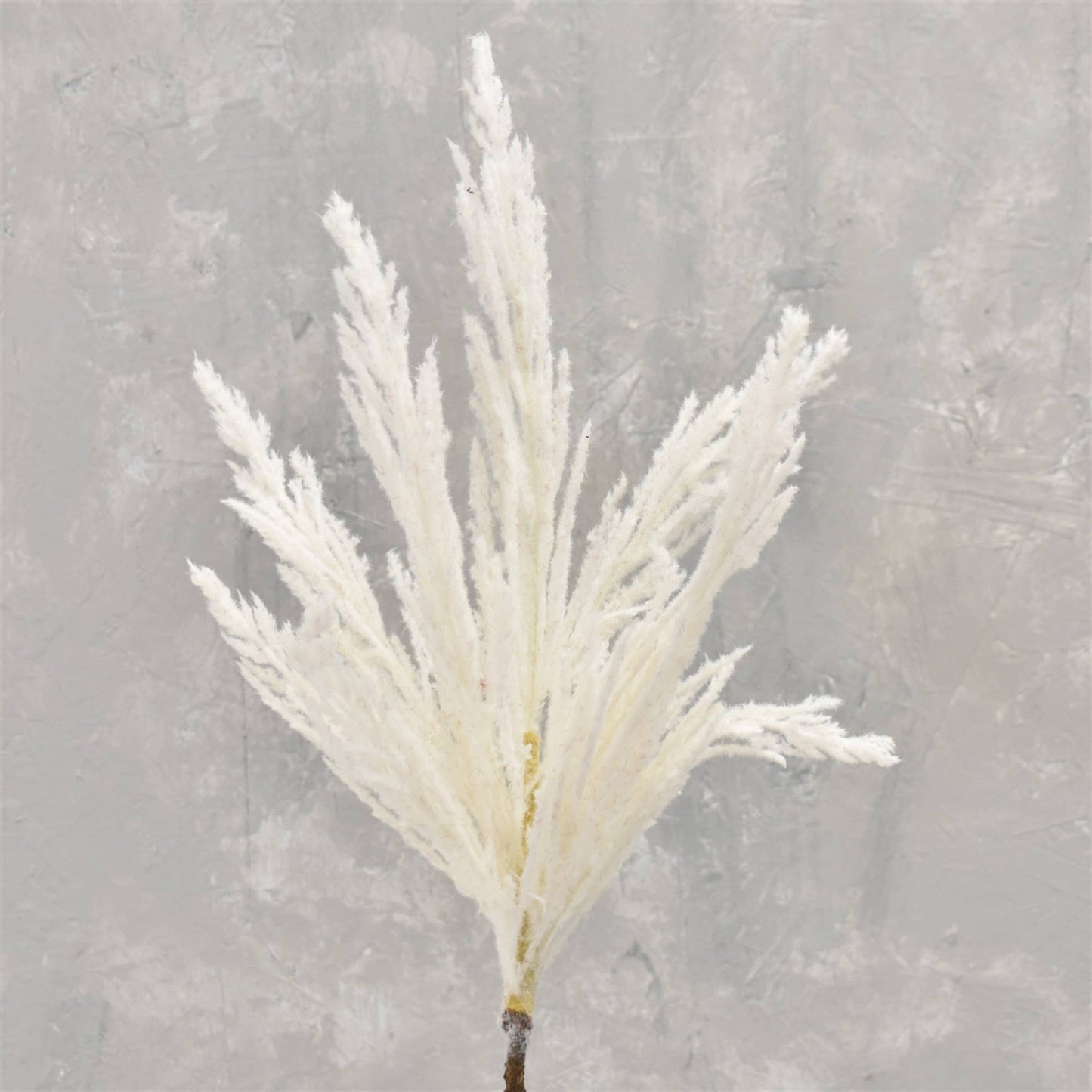 Short Cut Pampas Spray 31" - Ivory