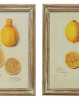 Wood Framed Vintage Lemons Set of Two