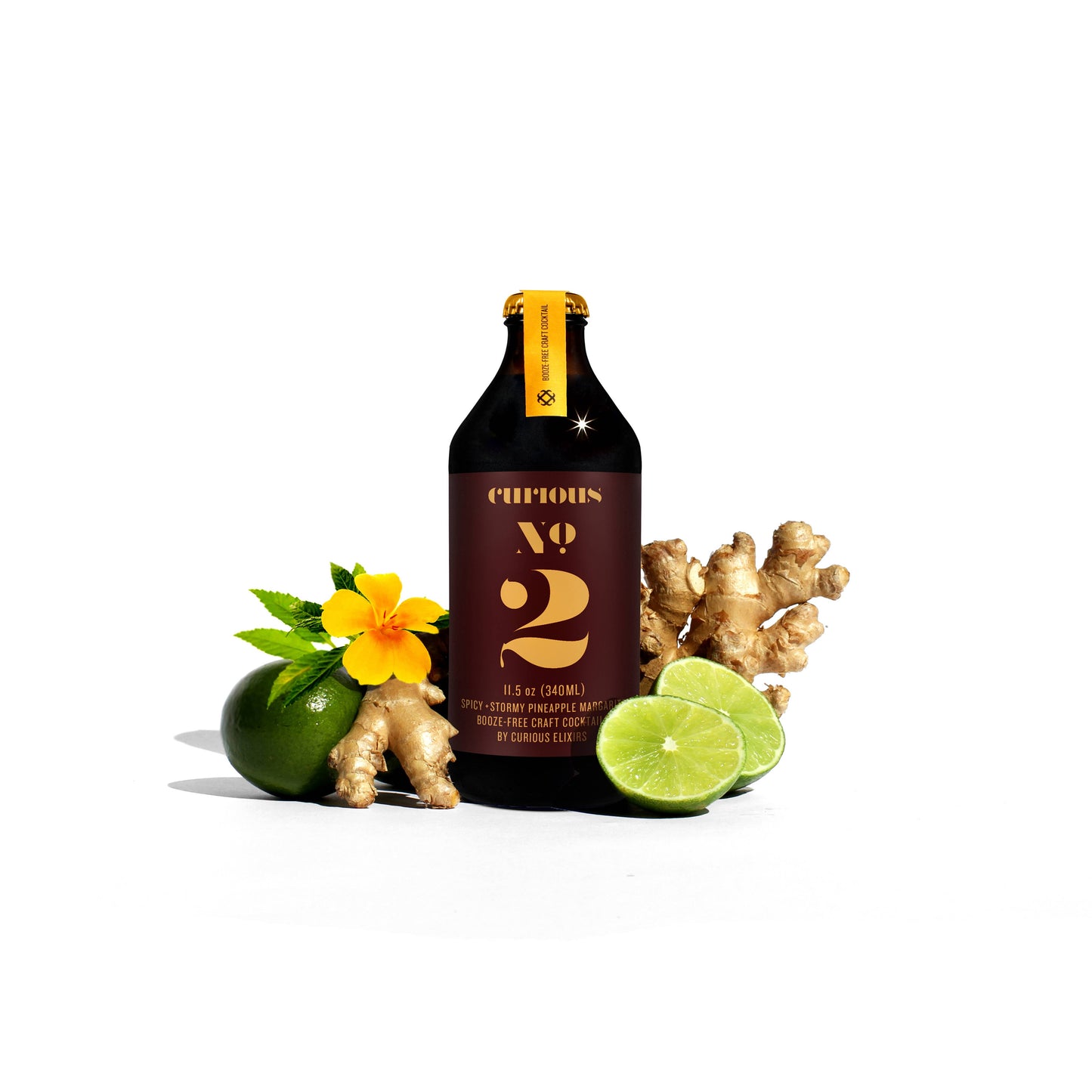 Curious Elixir No. 2 Booze-Free Cocktails: 24 Cocktails in 12 Bottles