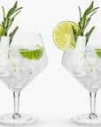 Set of 2 Gin and Tonic Glasses