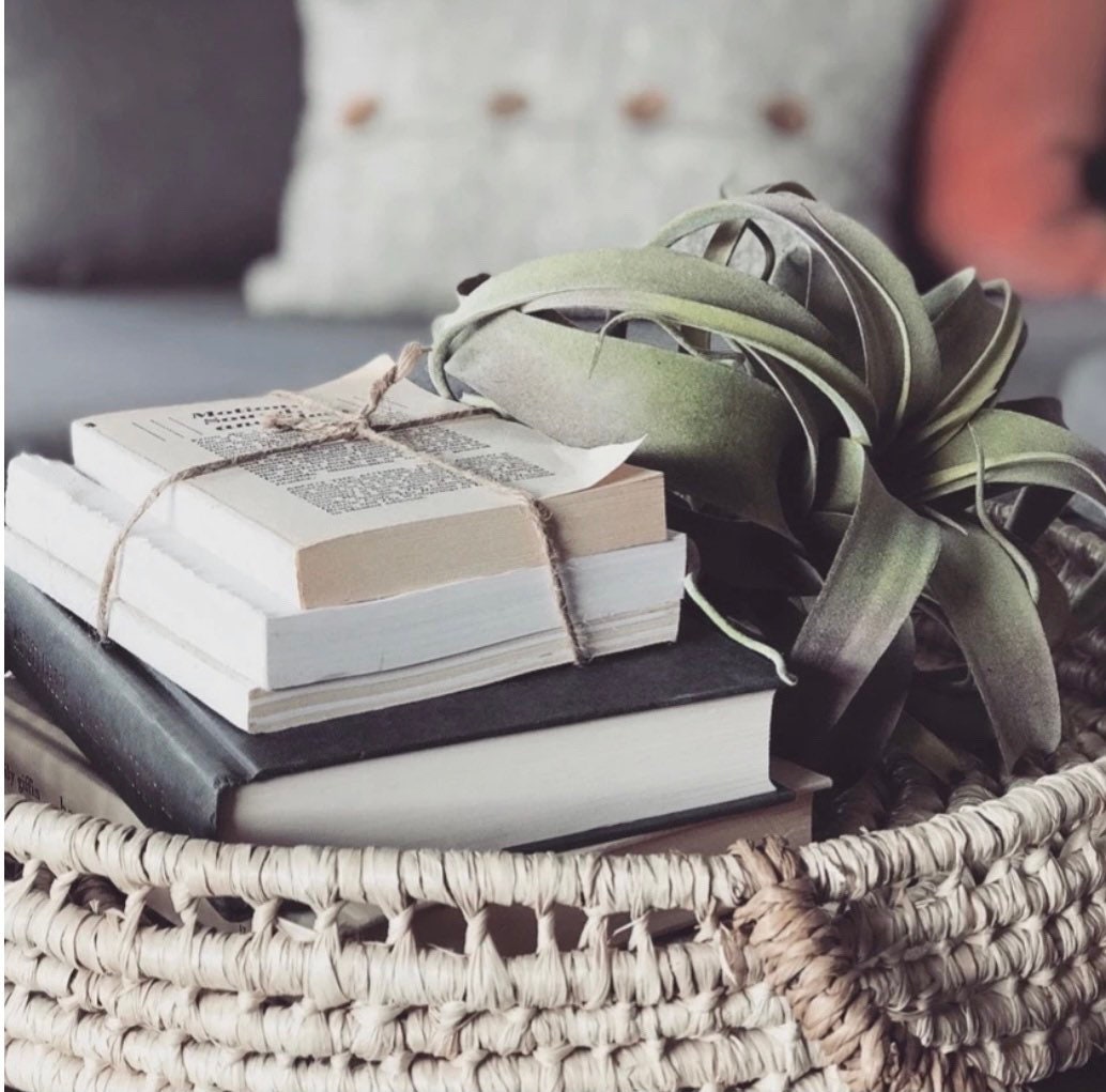 Book Bundle | Book Shelf Decor