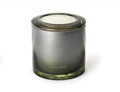 Illume - Blackberry Absinthe Statement Glass Candle