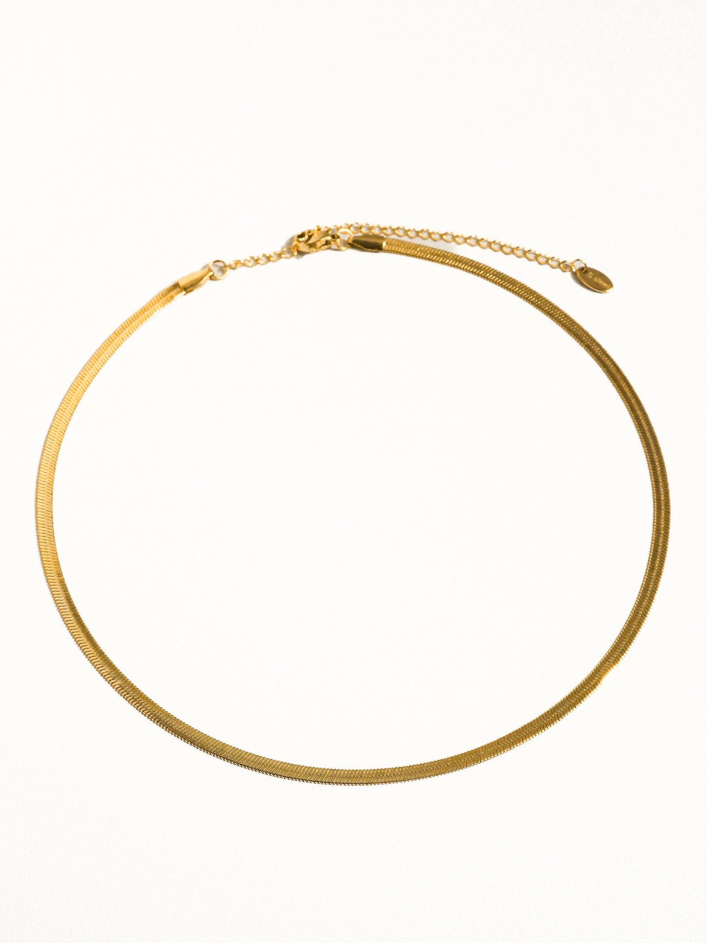 18K Gold Non-Tarnish Flat Snake Chain Necklace & Bracelet: Yellow Gold / Sylvie Necklace