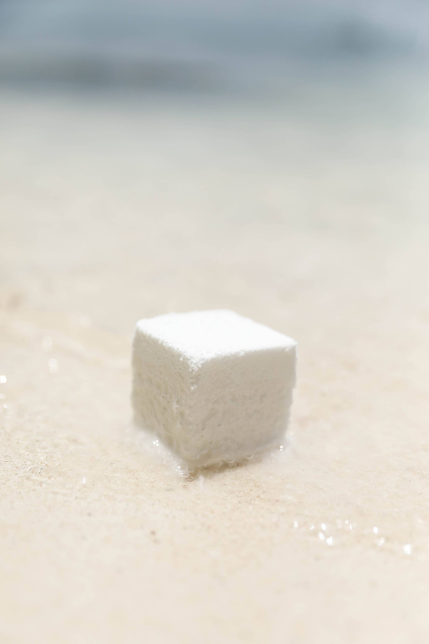 Agave & Teakwood Sparkling Bath Tablet