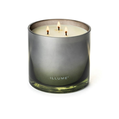 Illume - Blackberry Absinthe Statement Glass Candle