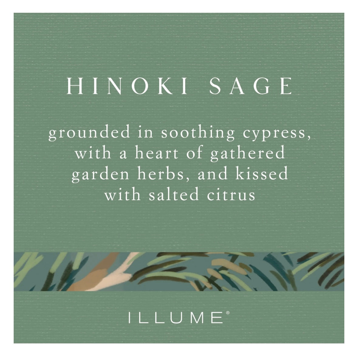 Illume - Hinoki Sage Matte Ceramic Candle