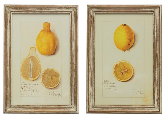 Art - Wood Framed Vintage Lemons Set of Two