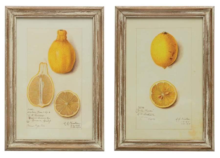 Wood Framed Vintage Lemons Set of Two