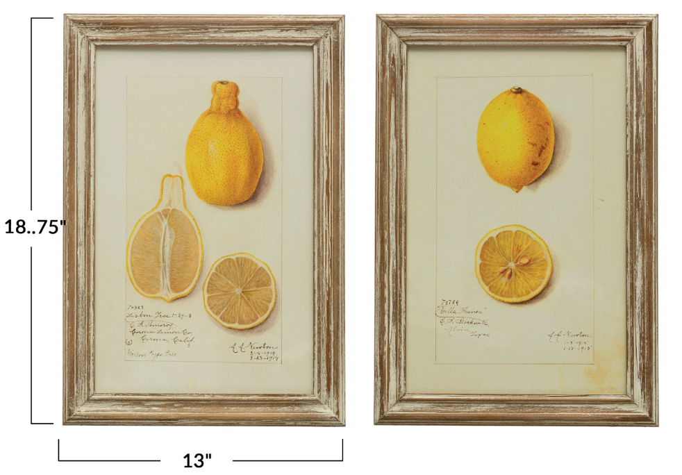 Art - Wood Framed Vintage Lemons Set of Two