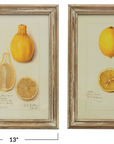 Wood Framed Vintage Lemons Set of Two