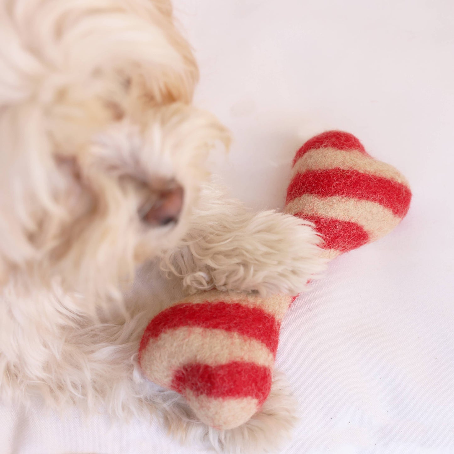 CANDY CANE WOOL BONE: Small